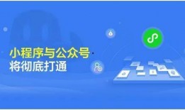小程序最新时事爆料号,小程序爆料号深度解析